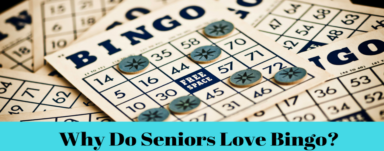 Why Do Seniors Love Bingo