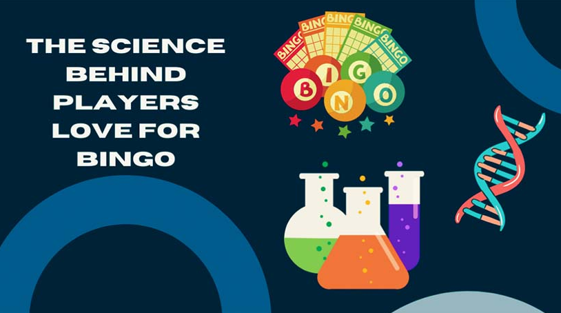 The Science Behind Players Love for Bingo