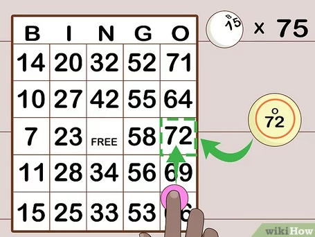 How to Play Bingo: