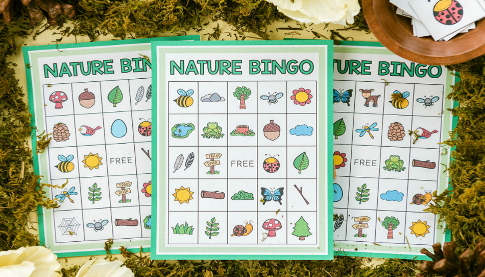 Nature Bingo (Free Printables) 